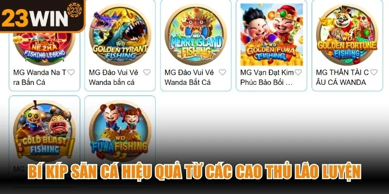 Bí kíp săn cá hiệu quả từ các cao thủ lão luyện