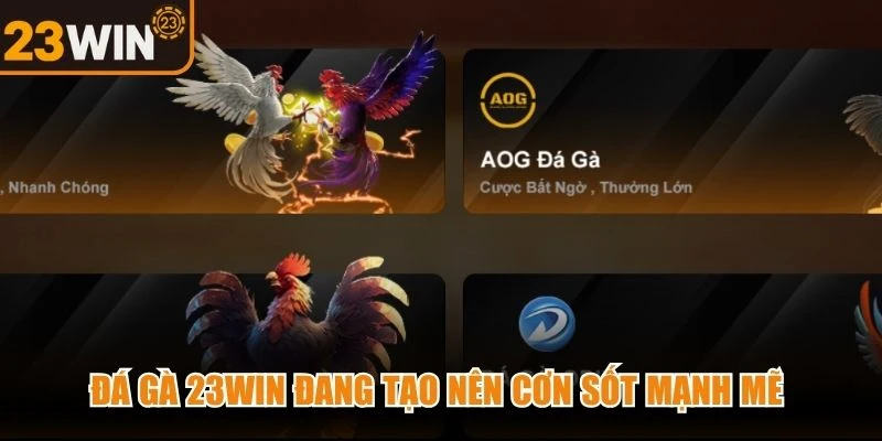 Đá gà 23WIN đang tạo nên cơn sốt mạnh mẽ trong cộng đồng đam mê cá cược
